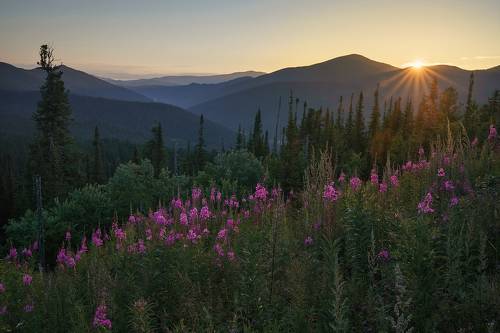 Утро в Ергаках