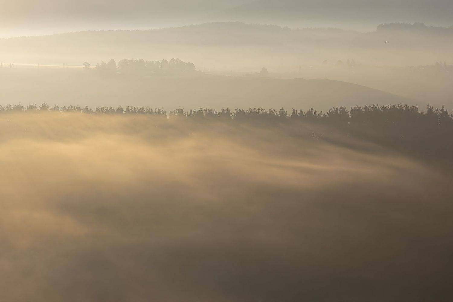 башкирия, туман, утро, лето, Ирина Абатурова