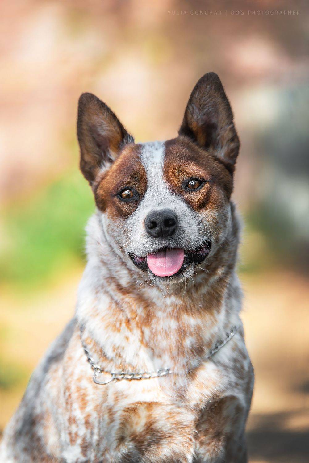 , Юлия Гончар