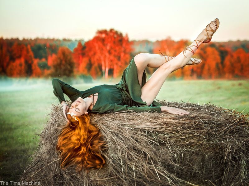 Сенокос фото превью