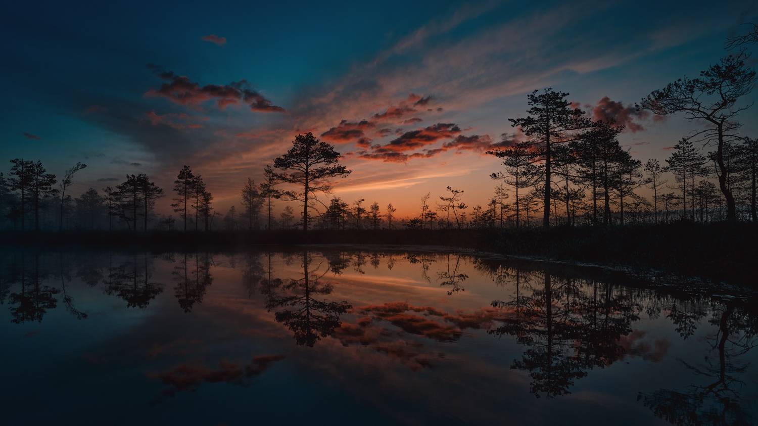 , Нуреев Камиль