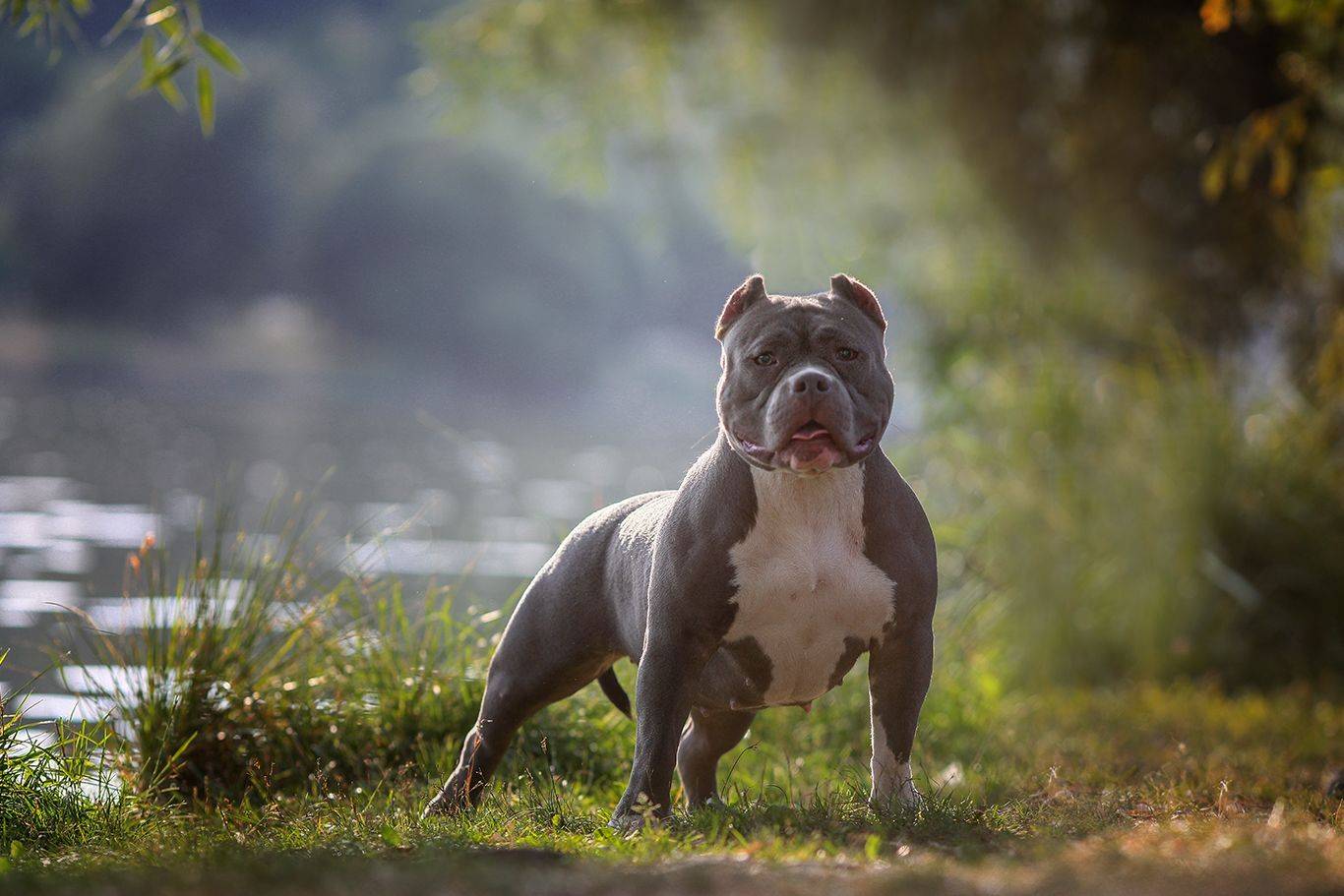 , Андрей Ершов