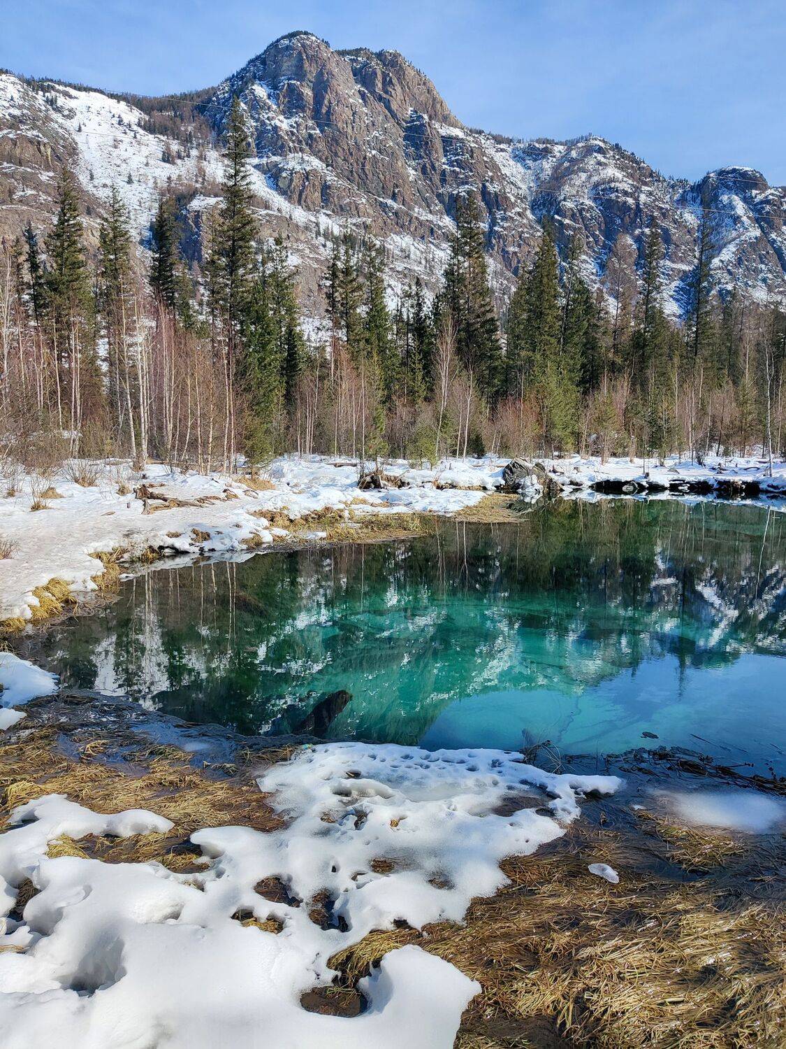 , Лесина Елена