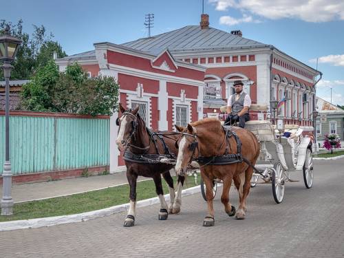 Две лошадиные силы