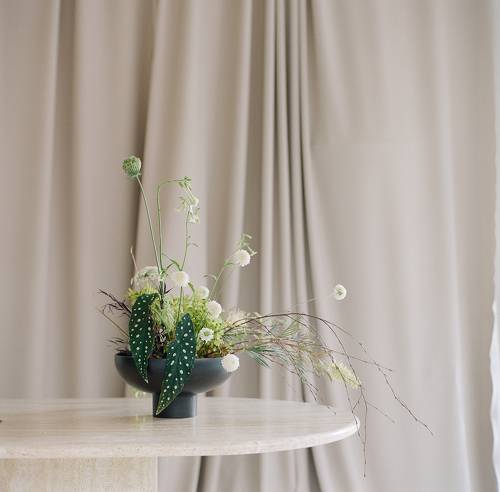 Still life on film