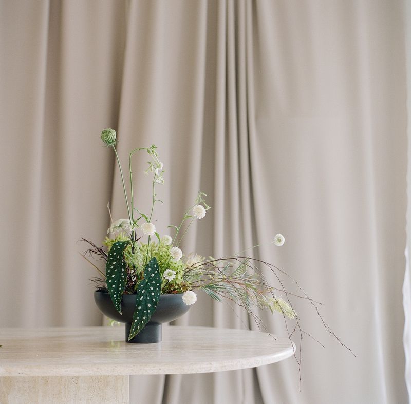 film, analogue, hasselblad, kodak portra film Still life on film фото превью