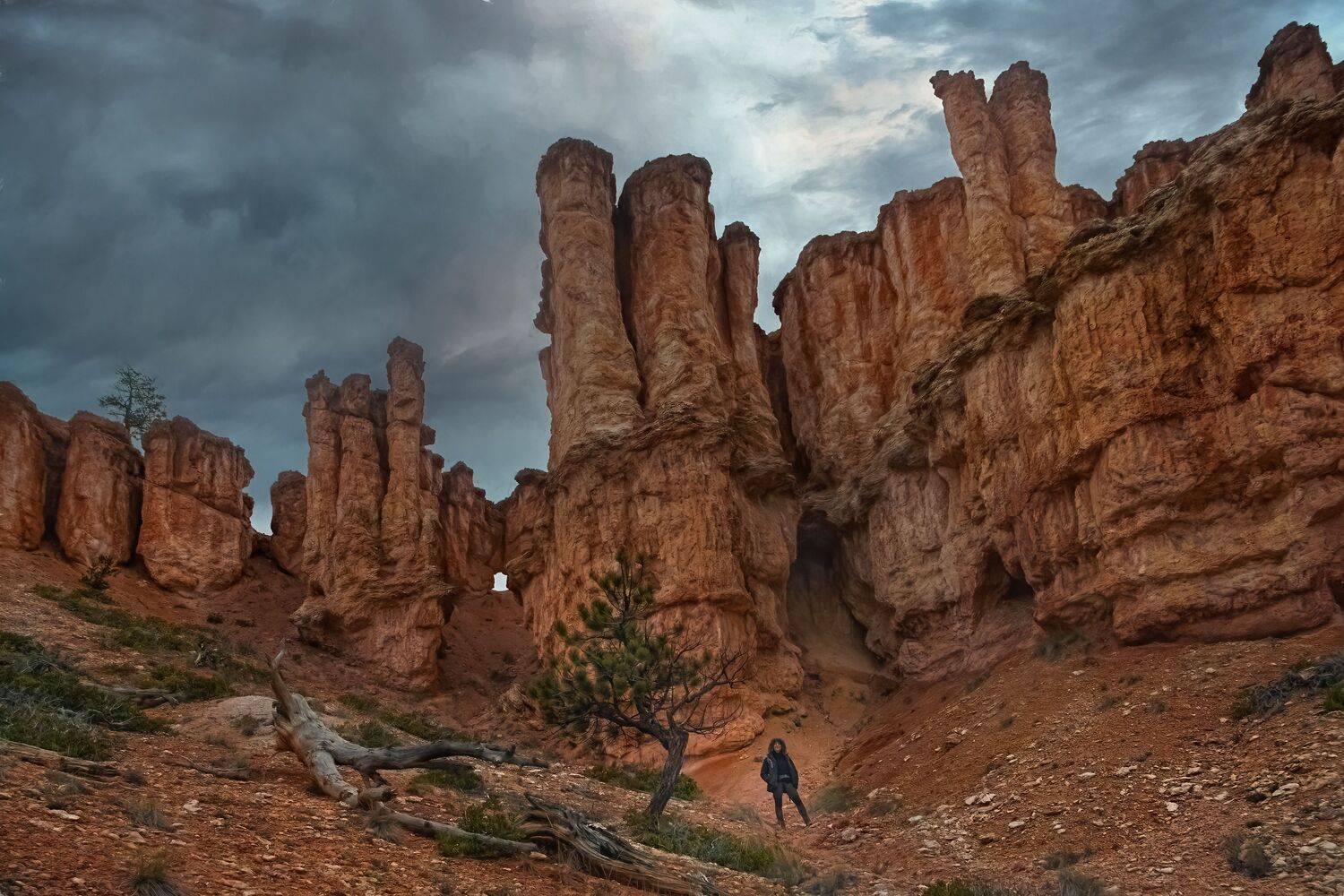 , Шварцман Евгений