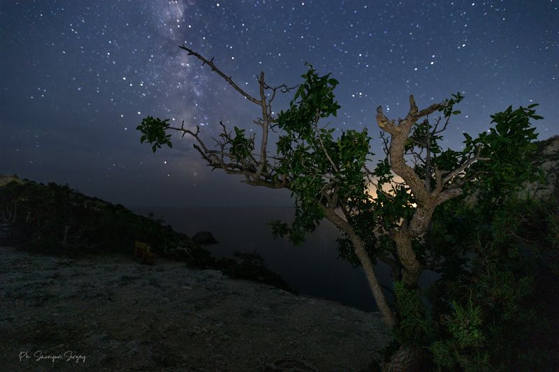 *** фото превью