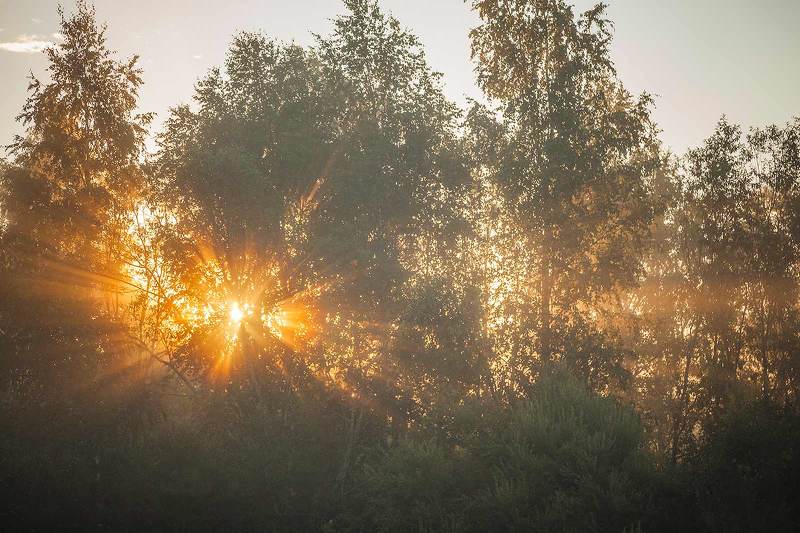 Первые утренние лучи фото превью