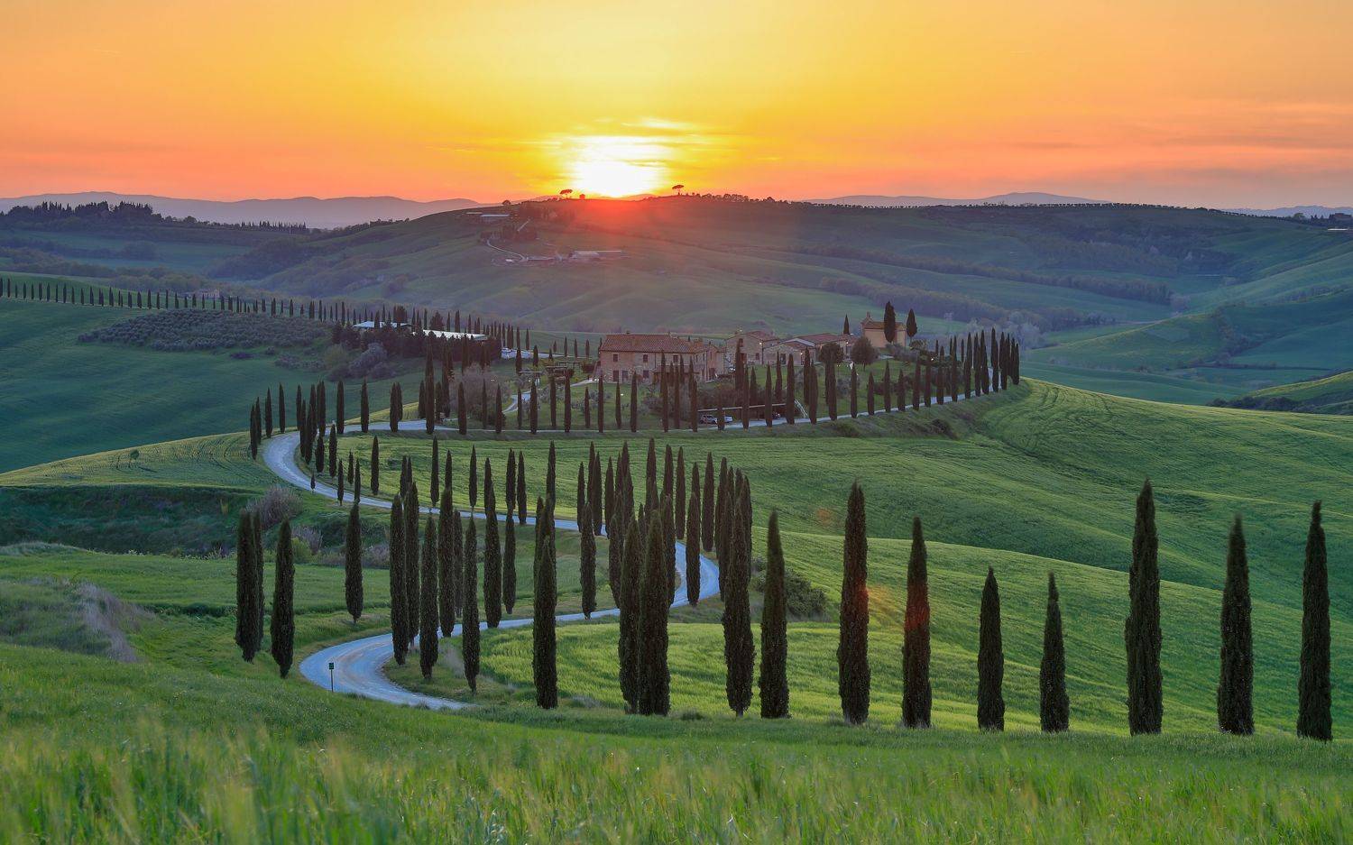 , Евгения Чех