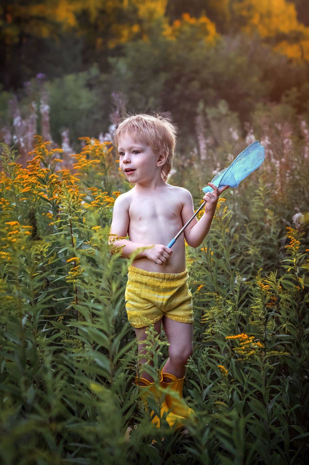 лето, солидаго, золотарник, дети, Ольга Ужекина