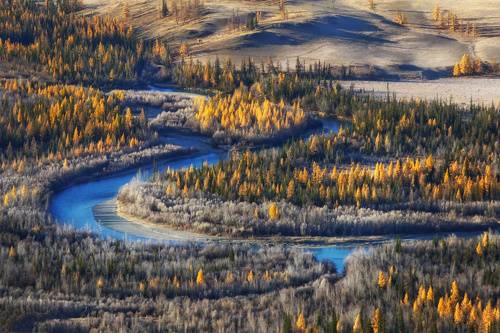 Чуя. Курайская классика.
