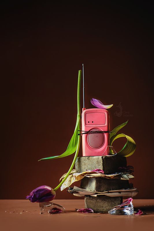 фото превью