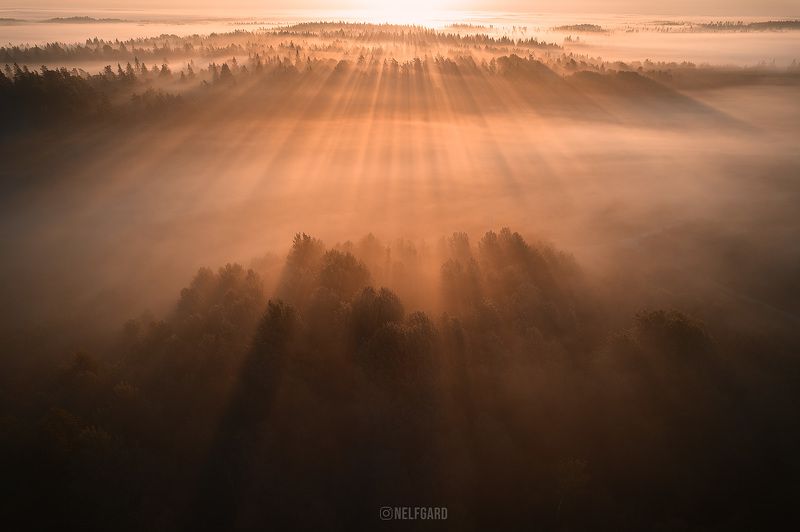 Туман восход лучи Одним туманным утром фото превью