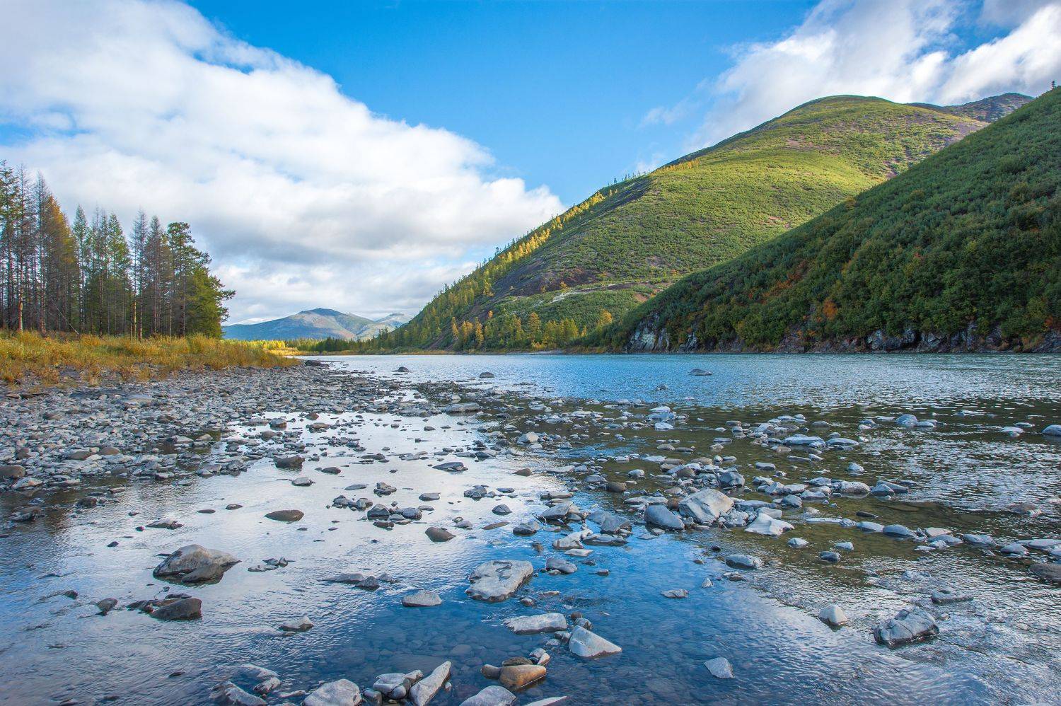 , Андрей Загребельный