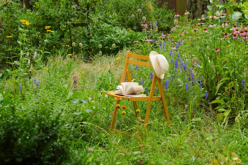 лето, дача, в саду Летние зарисовки фото превью