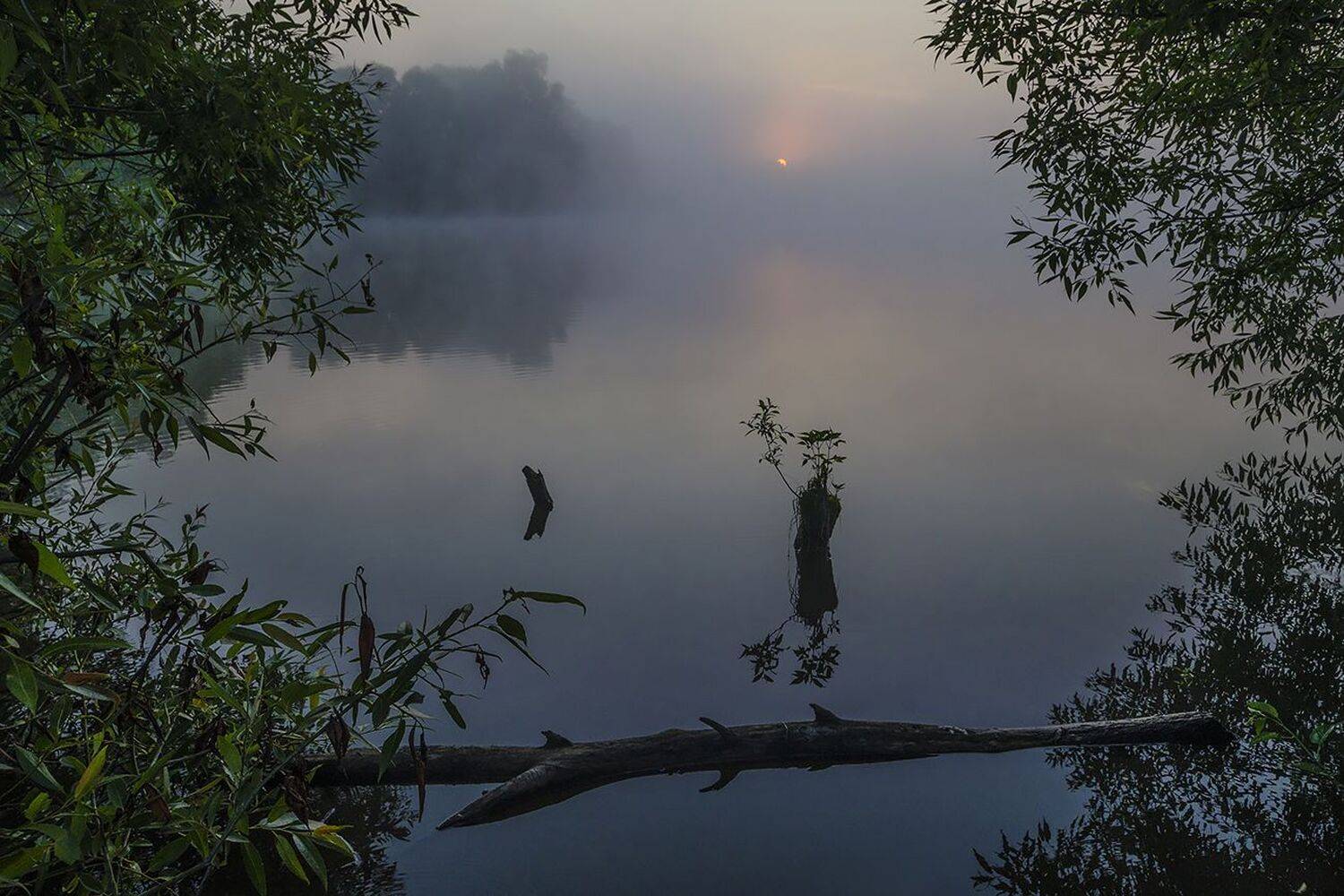 лето, туман, утро, рассвет, большие байдики, Михаил Агеев