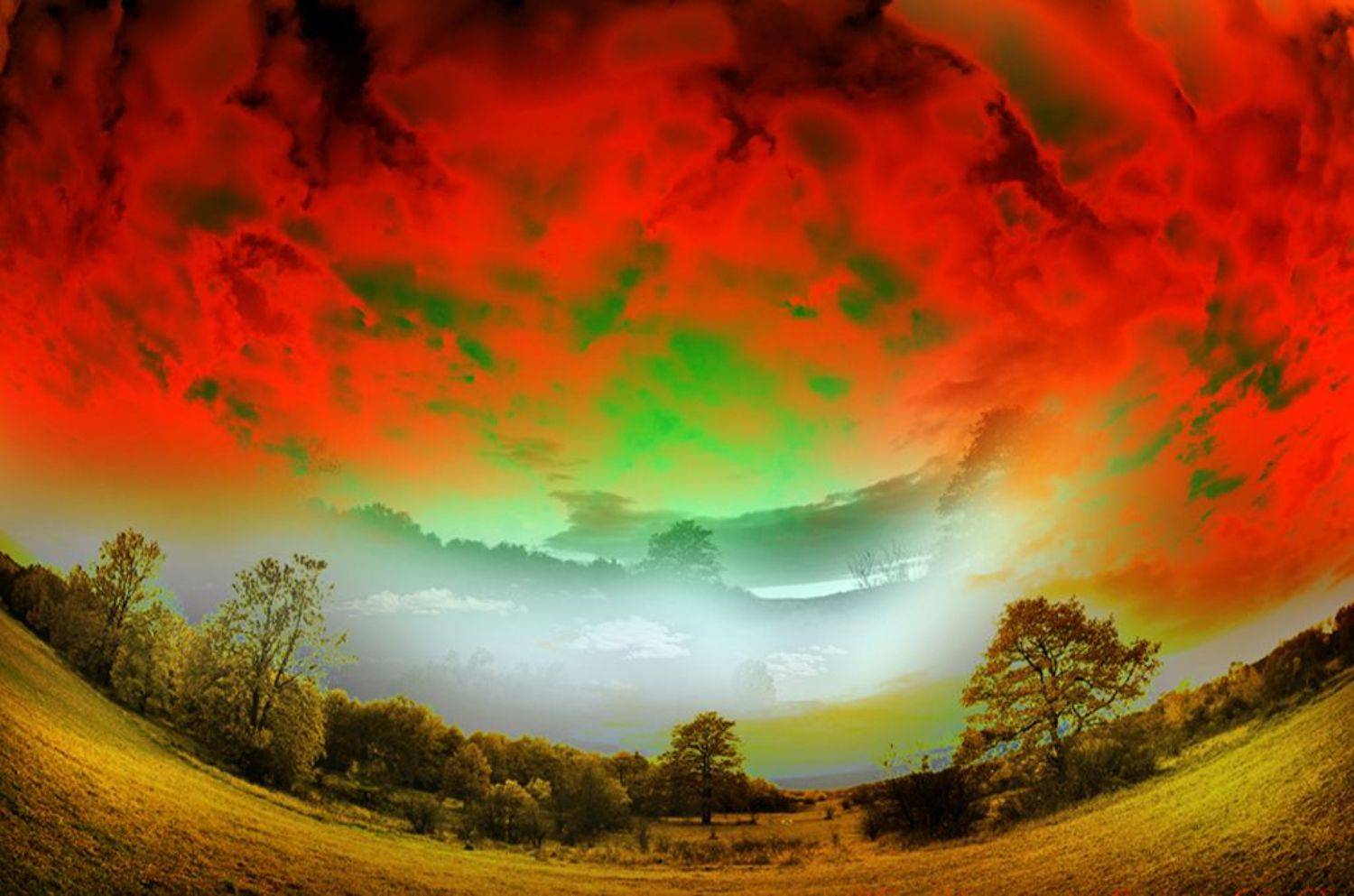 collage, color, colors, concept, conceptual, digital, digital art, editing, photo collage, photography, surreal, surrealism,, Dr Didi Baev