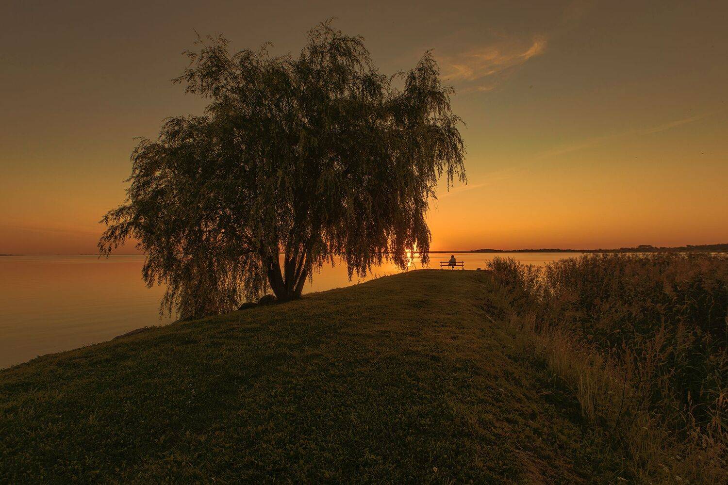 псковское озеро,пески,плесков, alexOmRam