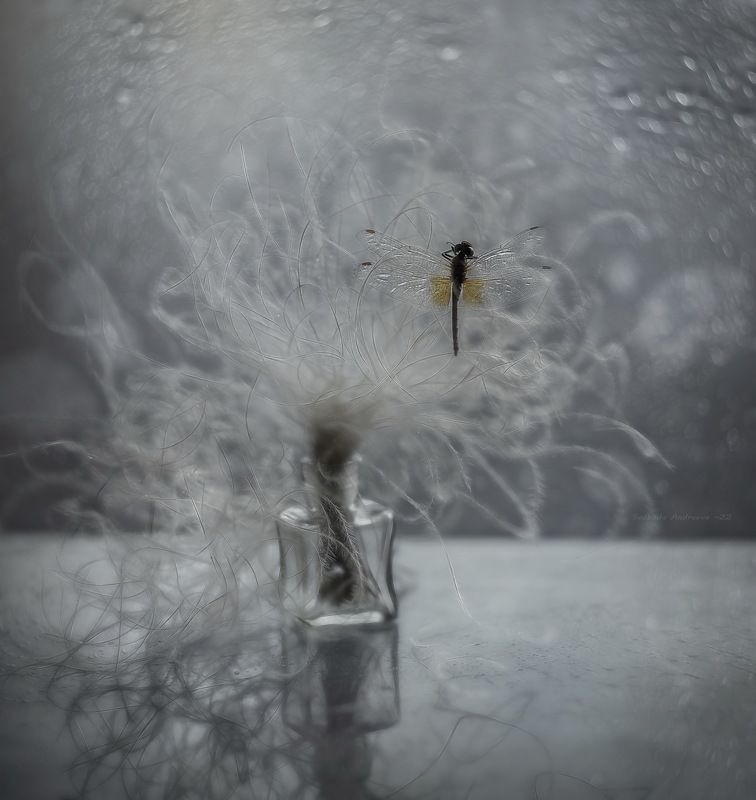 жёлтые крылышки осени* фото превью