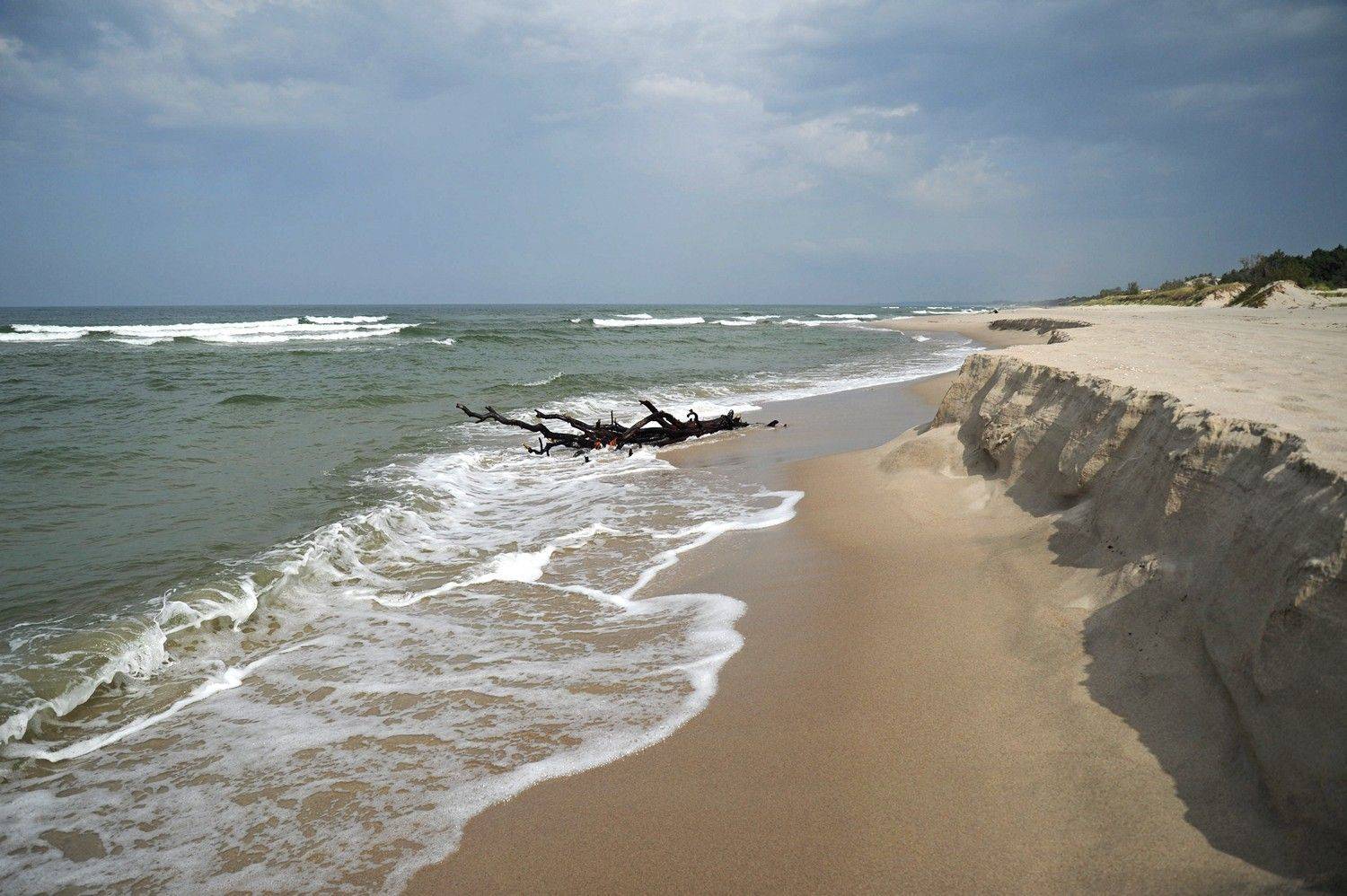 , Дарья Васильева