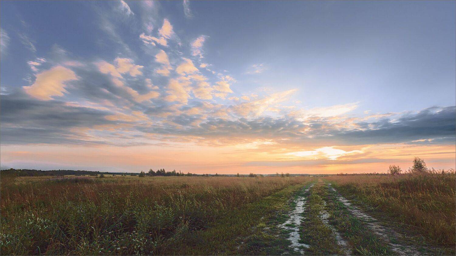 пейзаж, лето, вечер, деревня, дорога, поле небо, свет, цвет, александр никитинский, Никитинский Александр