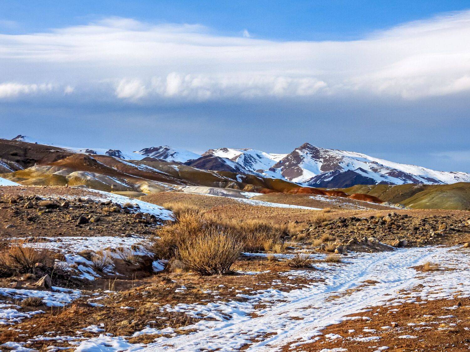 , Лесина Елена