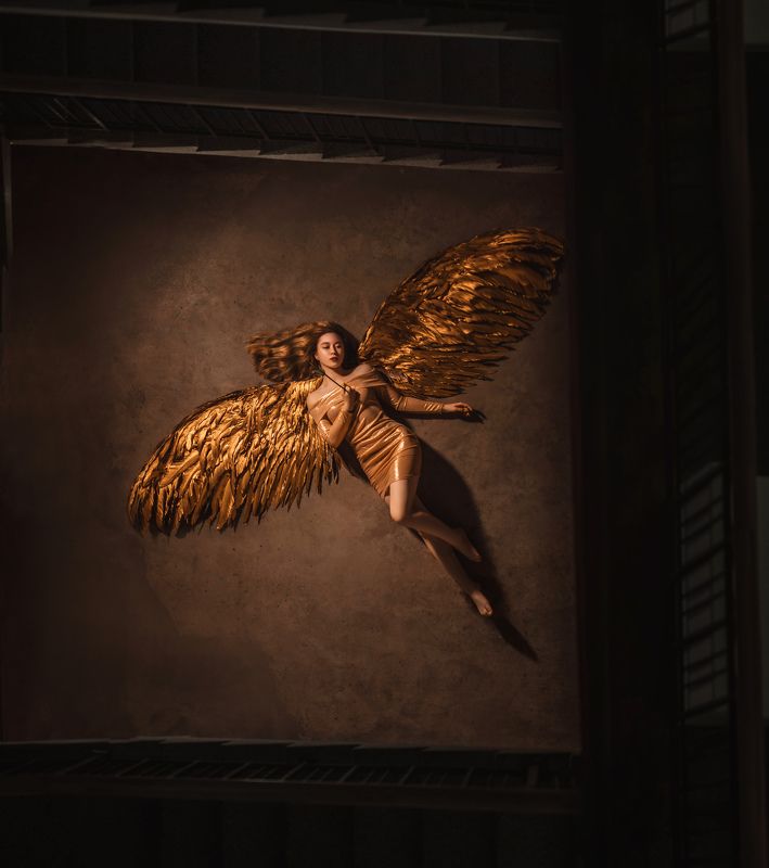 Раненая птица фото превью