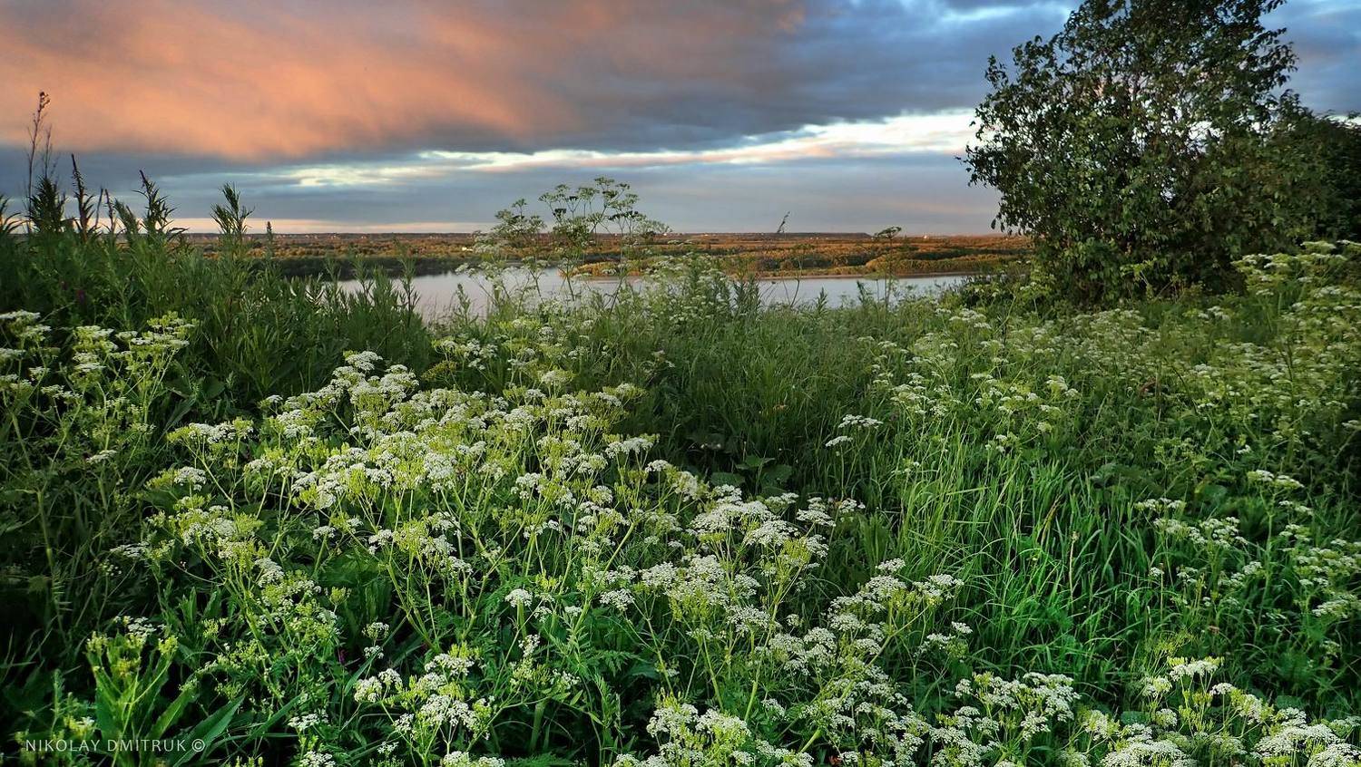 пнйзаж, николай дмитрук