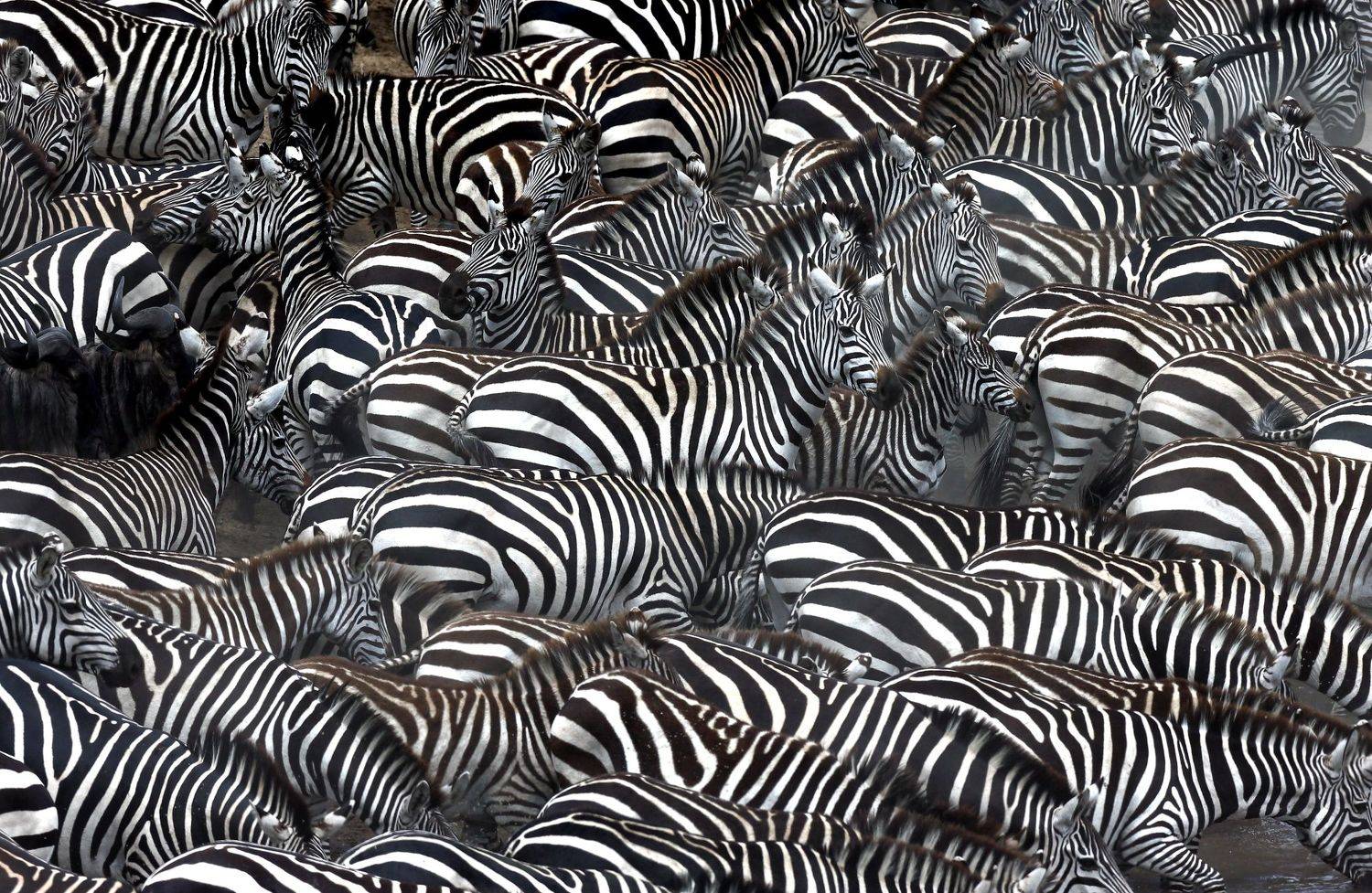 , Гудков Андрей