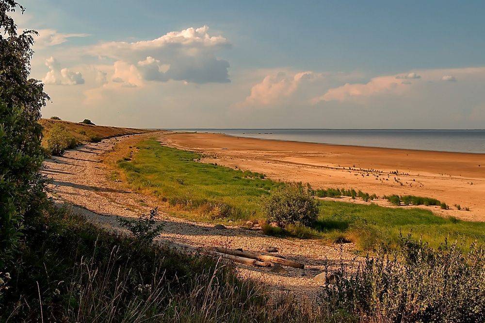 , Николаев Владимир