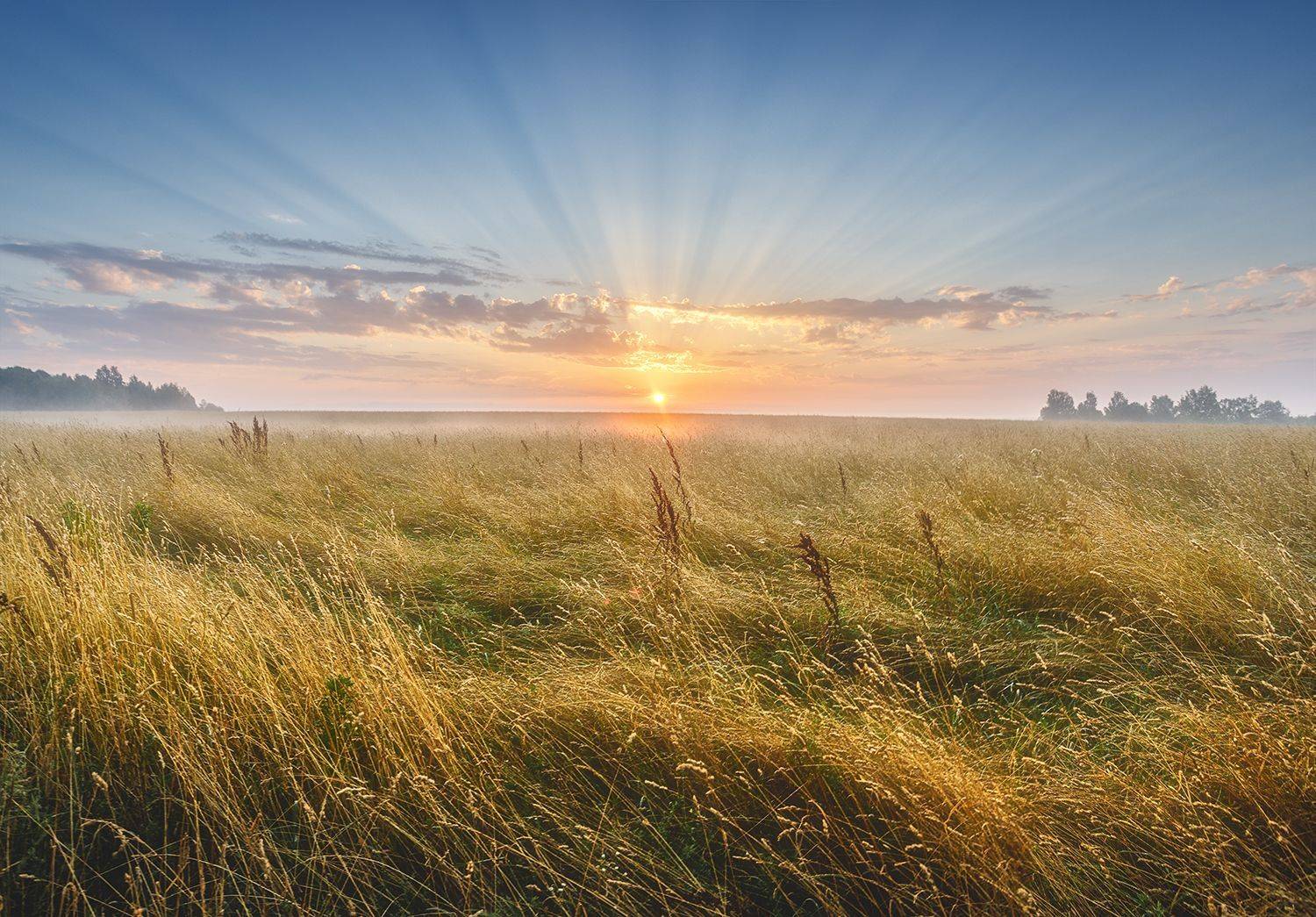 , Николай Андреев