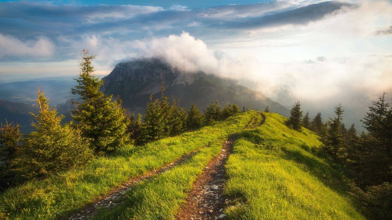 , Konf&aacute;l Miroslav