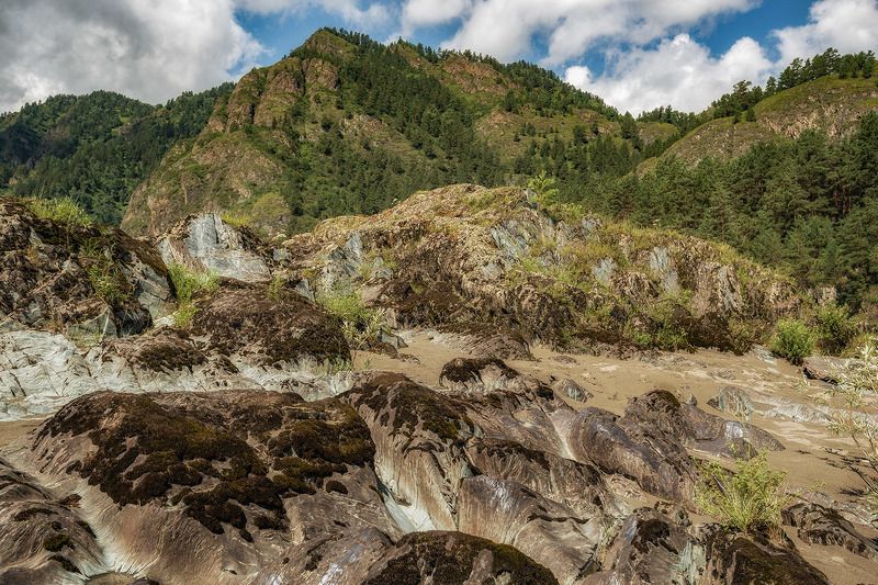 природа *** фото превью