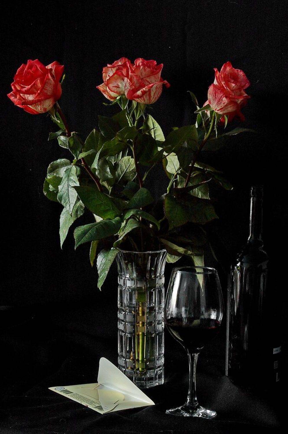 , Николаев Владимир