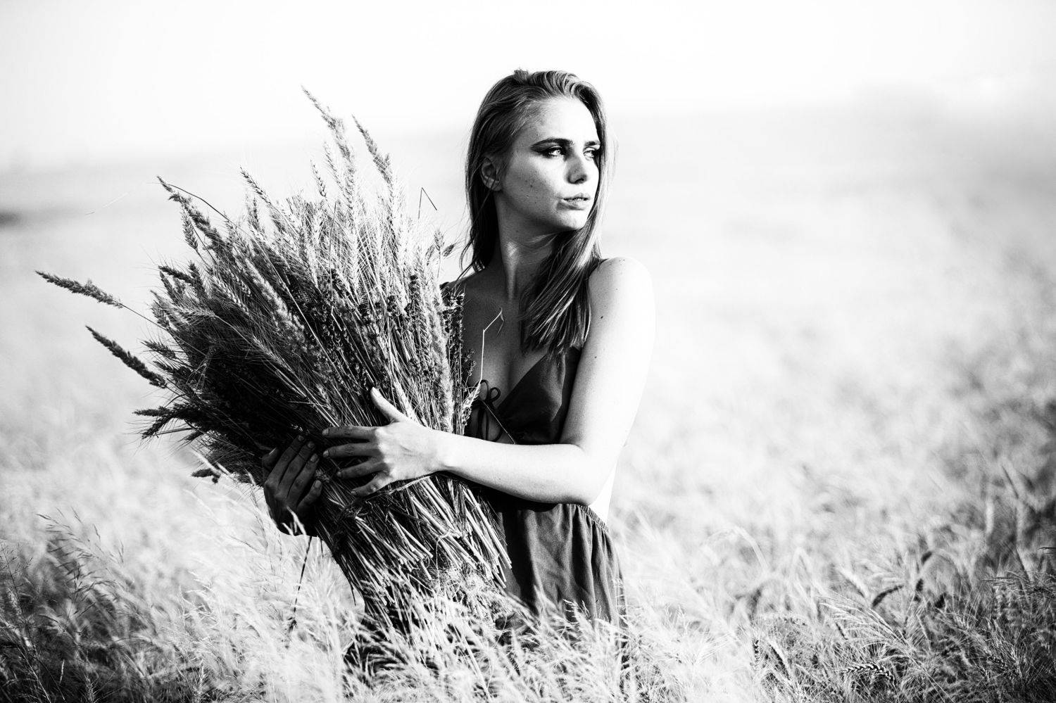 , Mihai Romeo Bogdan