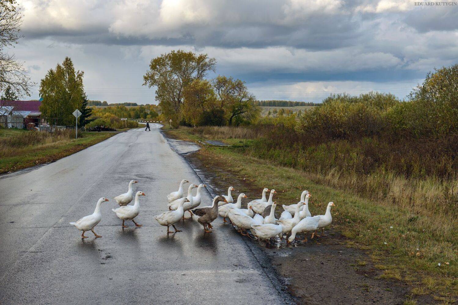 , Кутыгин Эдуард