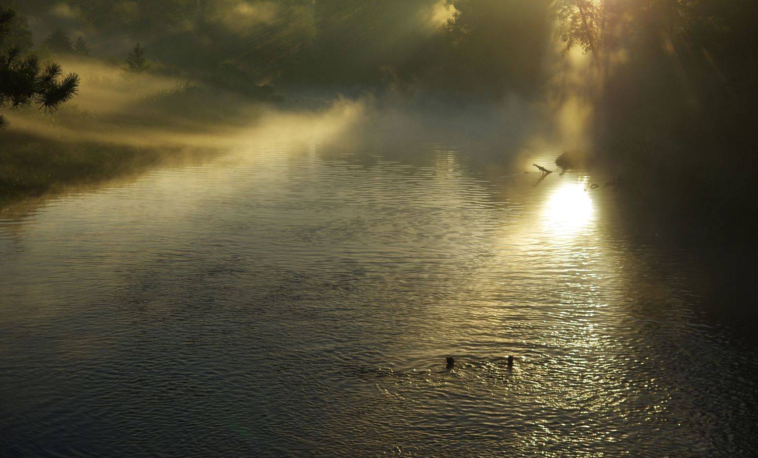 , Сергей Шляга