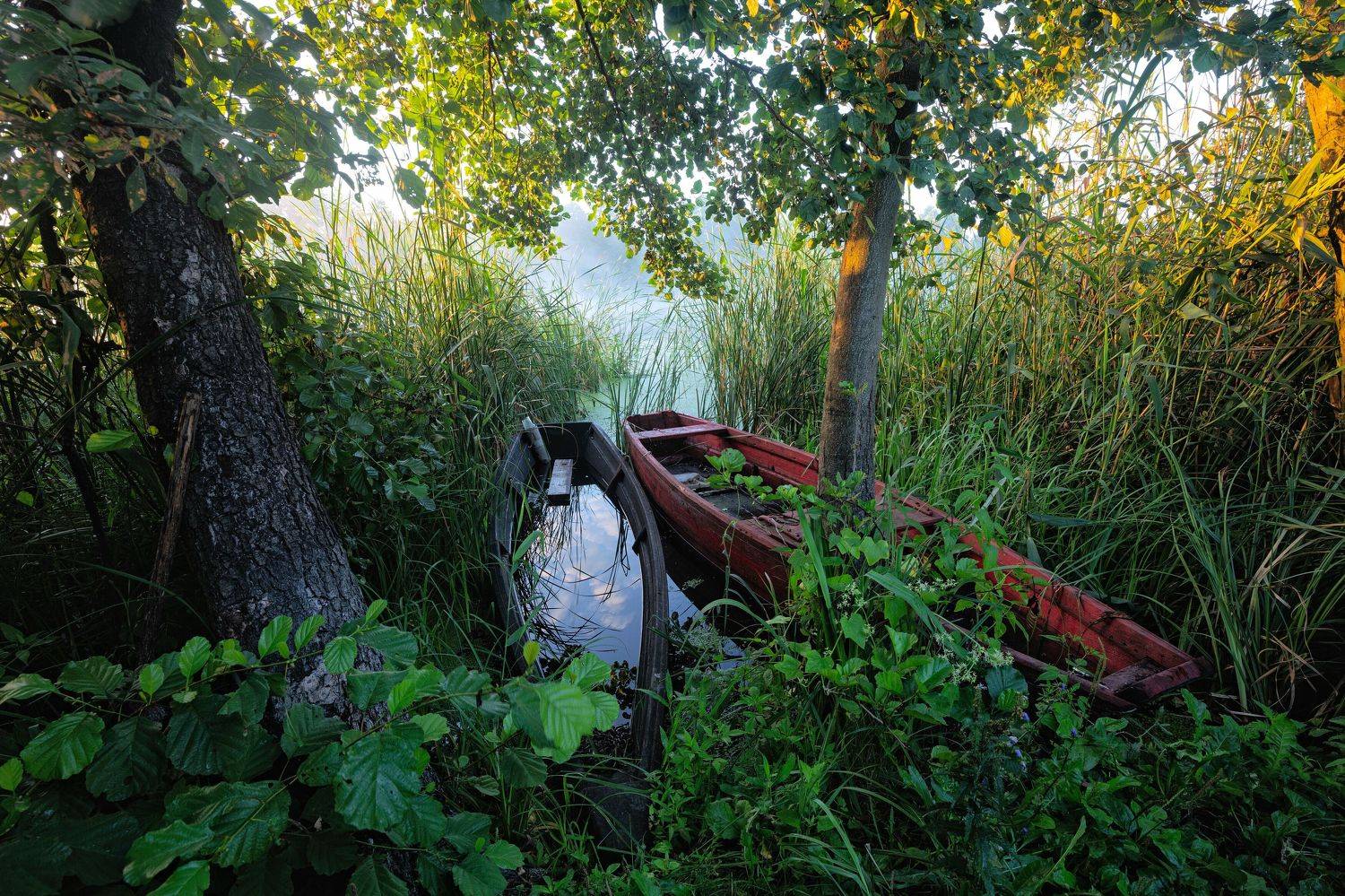 , Александр Бредихин