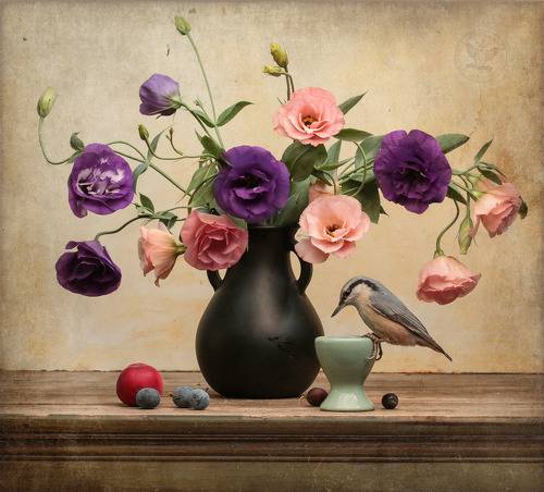 Поползень и эустомы