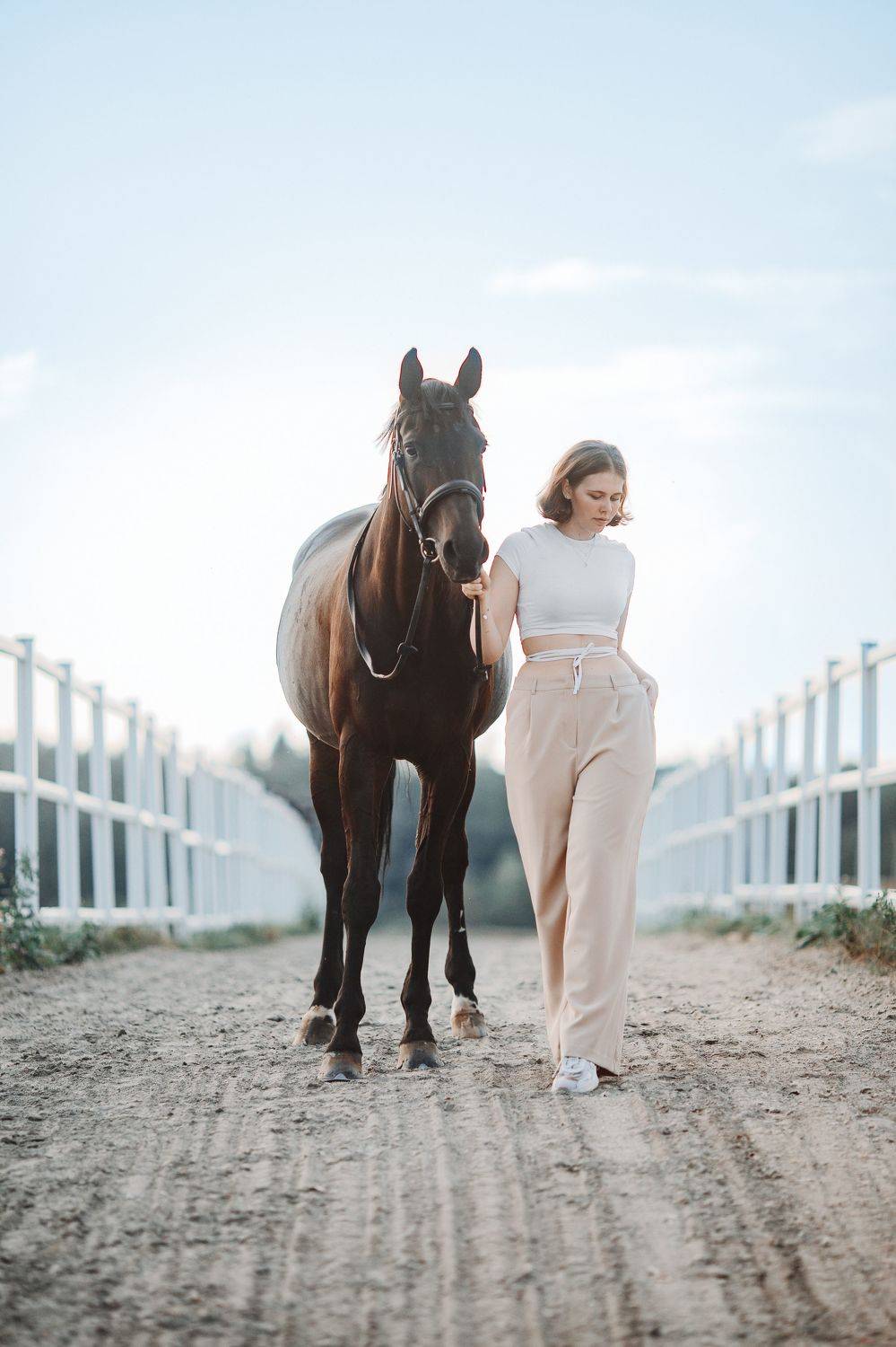 , Дмитрий Плеханов