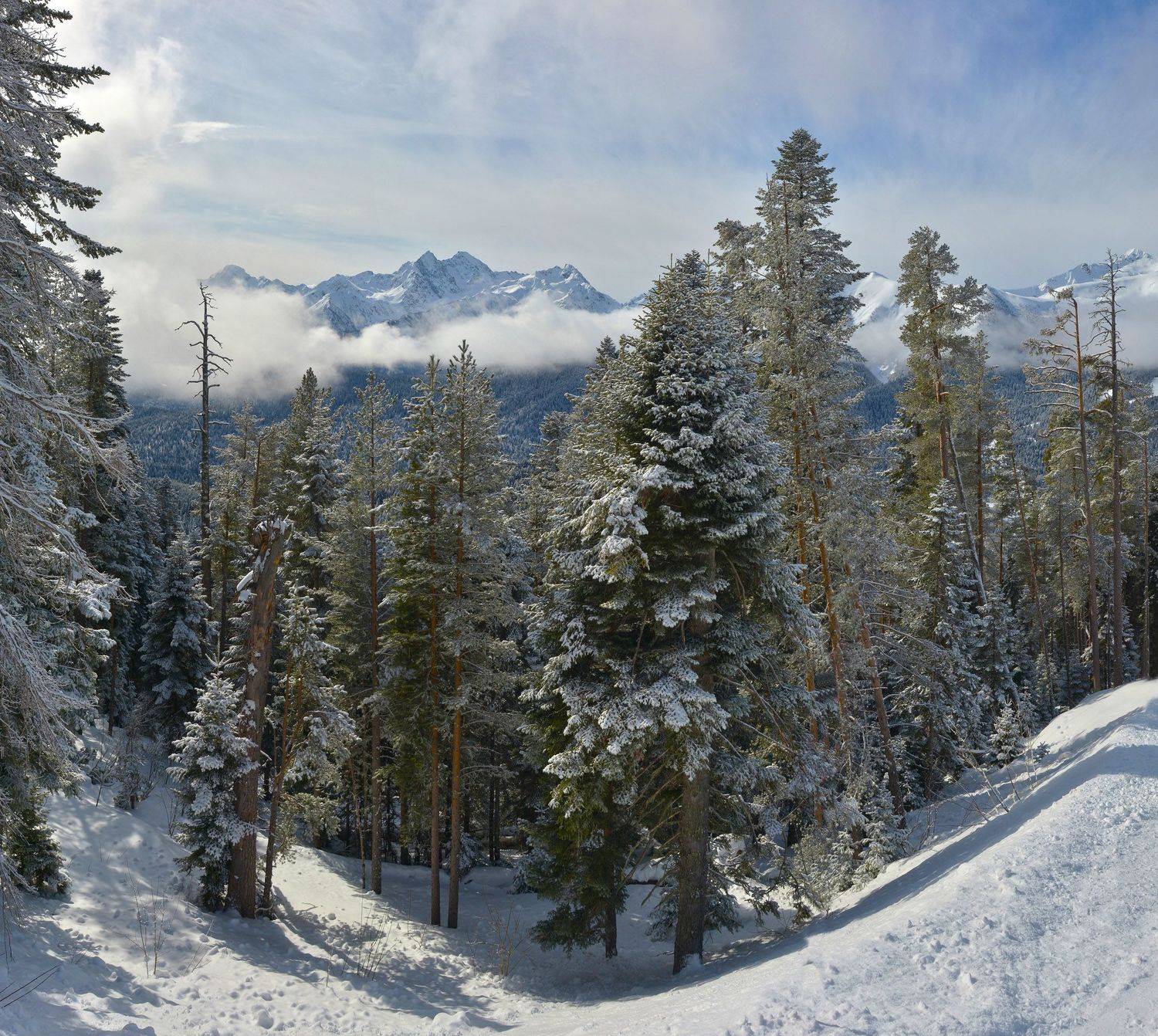 , Сергей Седов