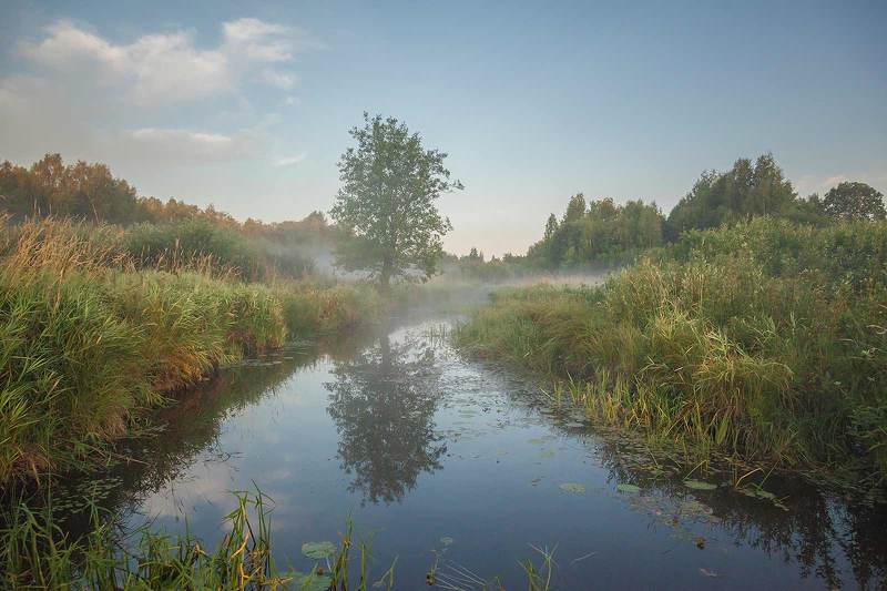 Река Явань на рассвете фото превью
