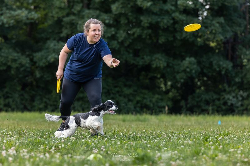 фризби,собаки,соревнования,discdog,dogfrisbee,dogsport,doglife,спортссобакой,спортивнаясобака,догфризби,человексобакедруг,dogtricks,sportdog,happydogs,догфризбиклубпетергоф,догфрисби  фото превью