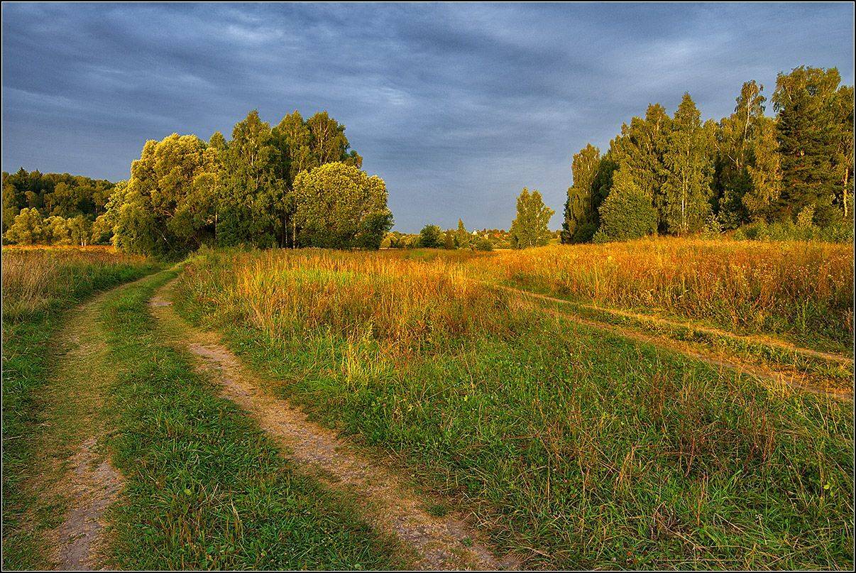 калужская обл., пойма р.протва, утро, просёлочные дороги, АНАТОЛИЙ ДОВЫДЕНКО