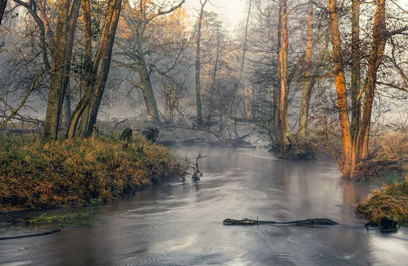Nad rzeką фото превью