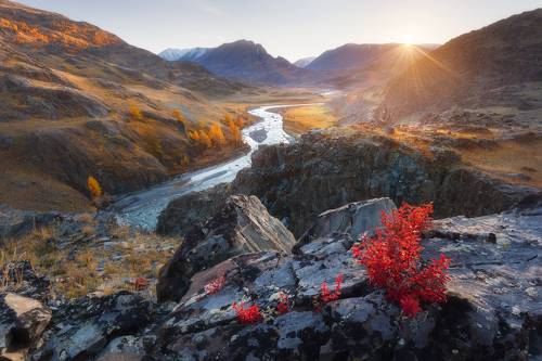 Последний луч солнца