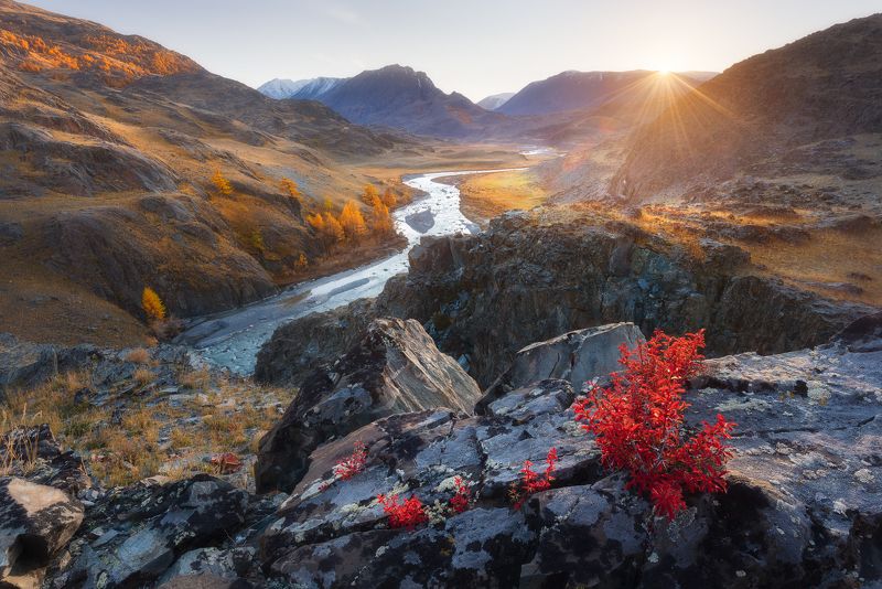 #алтай #пейзаж #сибирь Последний луч солнца фото превью