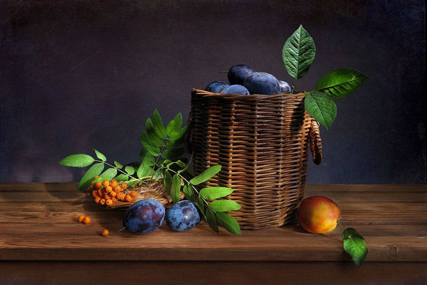 натюрморт,сливы,рябина,корзина, Алла Шевченко