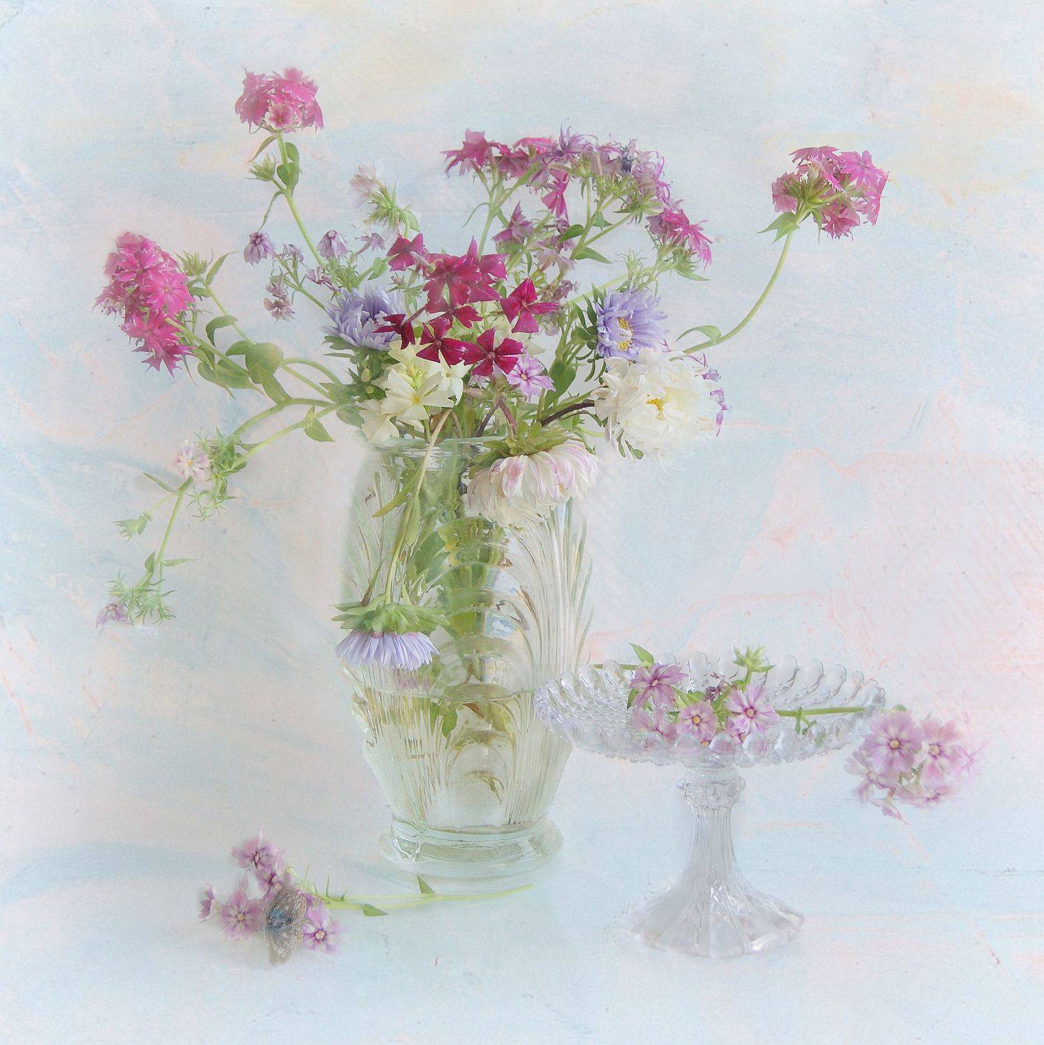 , Наталья Хохлова